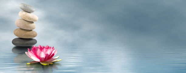 istock lotus flower and stones on water 1162526300