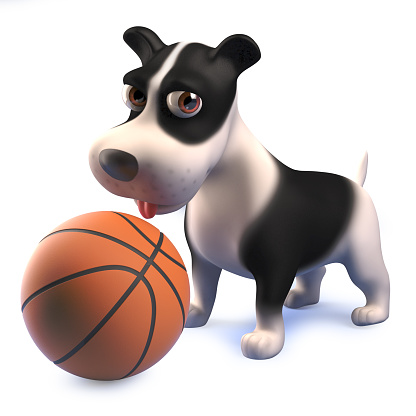 Rendered image in 3d of a cartoon 3d black and white puppy dog playing with a basketball