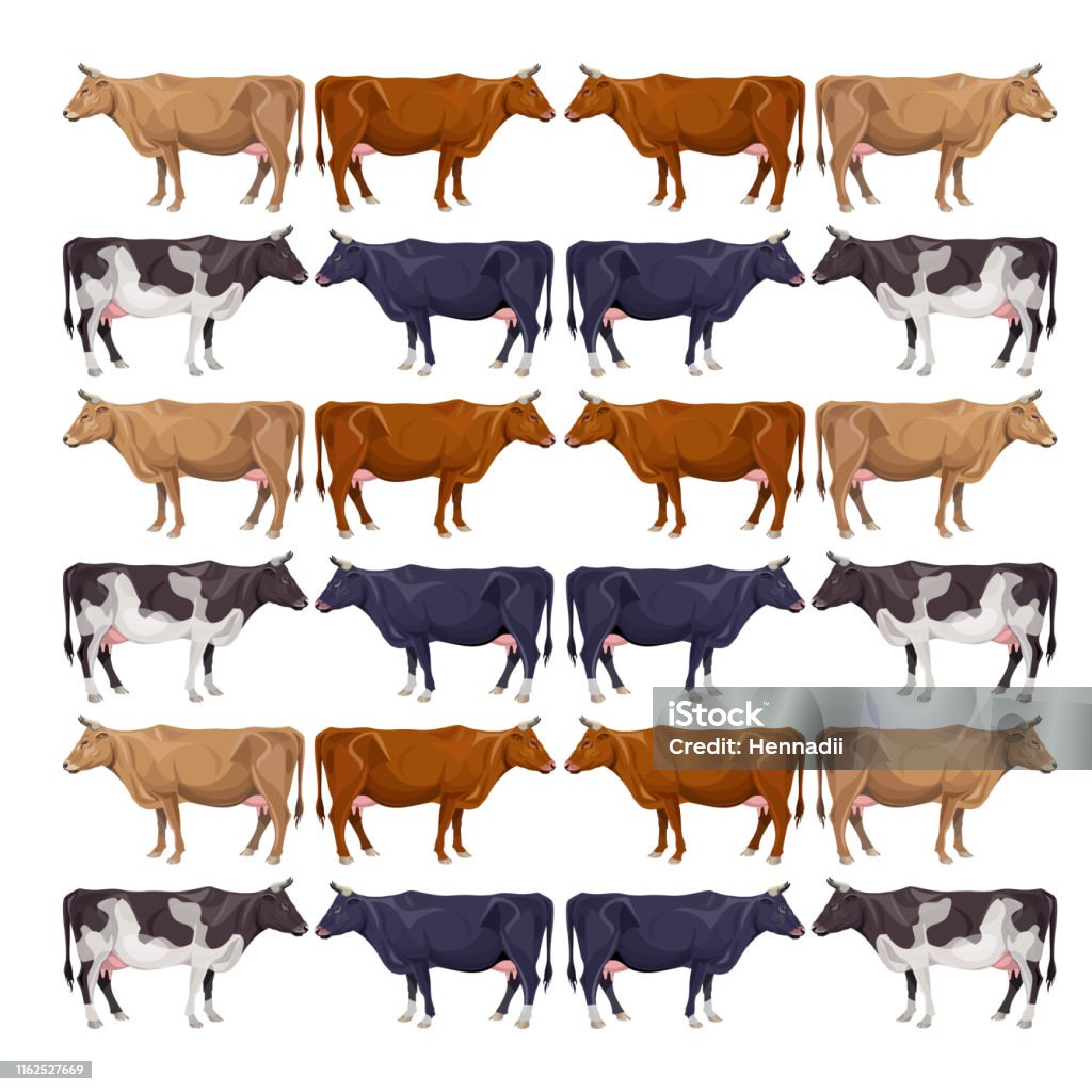 Cow Pattern Types Pattern With Cows Stock Illustration - Download Image Now - Agriculture ...