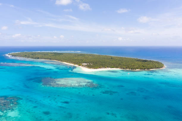 istock Daco island, Philippines. Tropical island with palm trees and a white sandy beach 1162528181