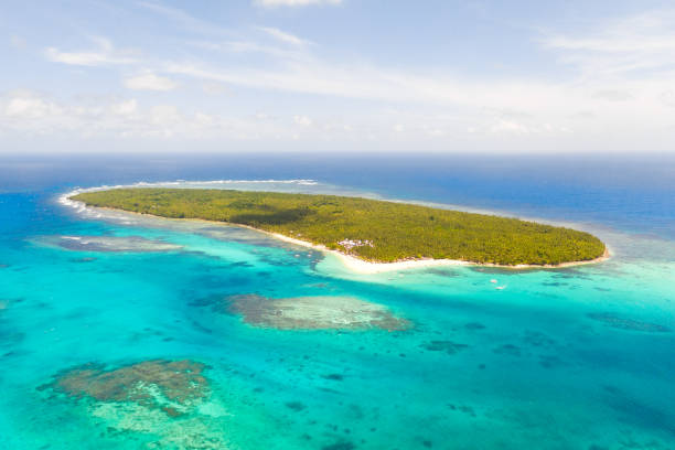 istock Daco island, Philippines. Tropical island with palm trees and a white sandy beach 1162528764