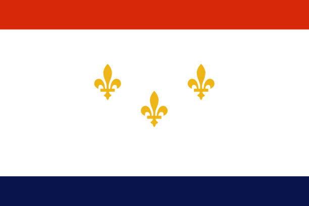 Flag of New Orleans, Louisiana, United States of America. Vector Flag of New Orleans, Louisiana, United States of America. Three gold fleur-de-lis on white field. Vector illustration new orleans fleur de lis stock illustrations