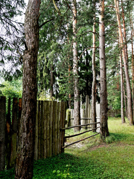 istock Edge of the village 1162529384