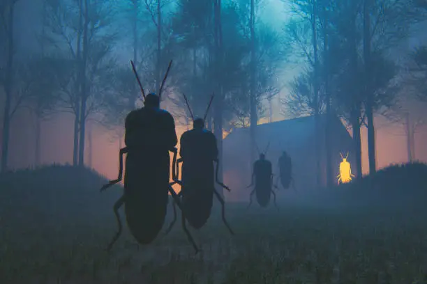 Photo of Spooky insect priest in the forest at night