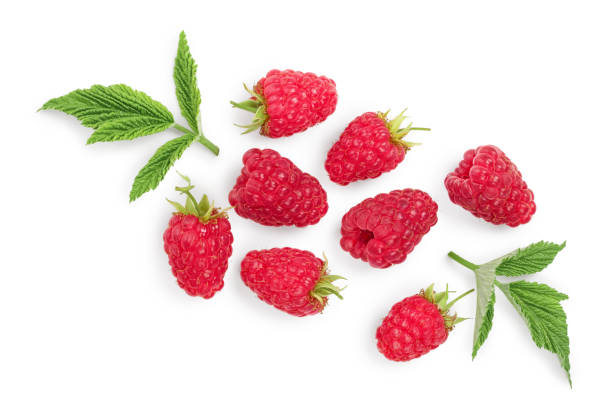 istock raspberries with leaves isolated on white background. Top view. Flat lay 1162532597