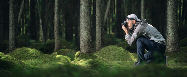 A photographer takes pictures in a pine forest