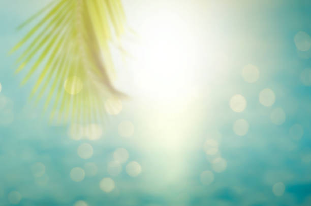 istock Blurred tropical sea at sunset 1162535518