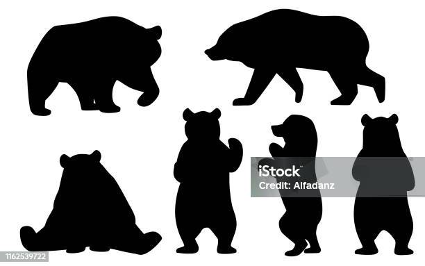 Svart Silhuett Uppsättning Av Grizzlybjörnar Nordamerika Djur Brunbjörn Tecknad Djur Design Platt Vektor Illustration Isolerad På Vit Bakgrund-vektorgrafik och fler bilder på Björn
