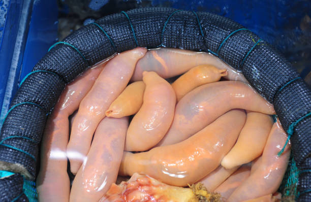 istock Korean food Gaebul - Spoon Worm 1162539897