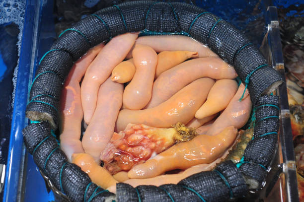 istock Korean food Gaebul - Spoon Worm 1162539898