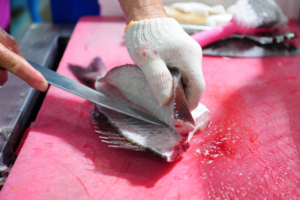 Fish Cutting and Cleaning and preparing