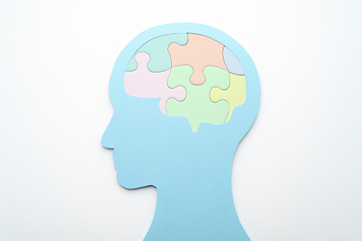 Head silhouette and brain shaped puzzle pieces on white background.