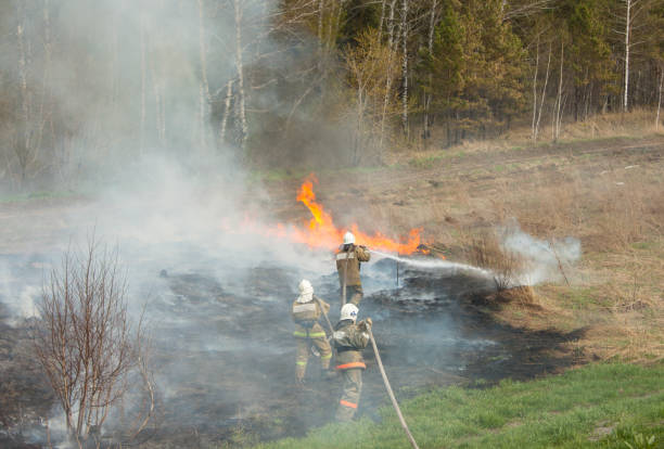 istock Forest fire Three firefighters extinguish the fire. Horizontal photo 1162541964