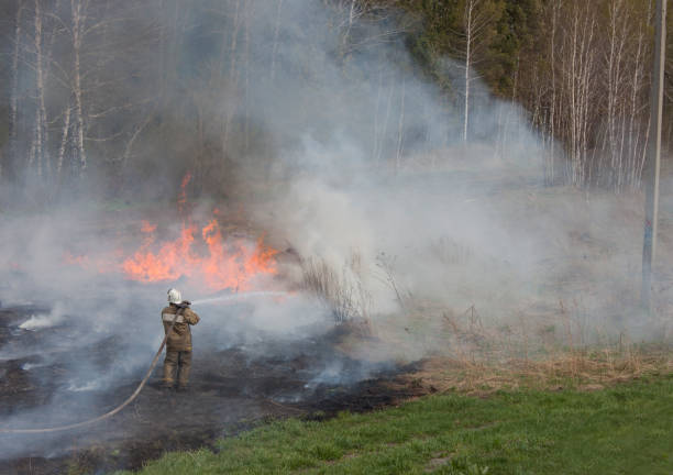 istock Firefighter puts out the fire in the woods. Smoke, flame 1162542044