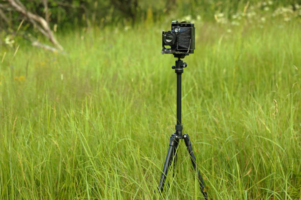 istock Vintage camera 9x12 on a sunny meadow with green grass. The old studio camera for using glass plates. 1162543677