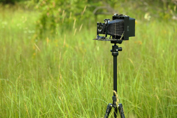 istock Vintage camera 9x12 on a sunny meadow with green grass. The old studio camera for using glass plates. 1162543688