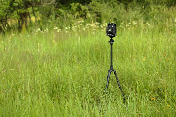 istock Vintage camera 9x12 on a sunny meadow with green grass. The old studio camera for using glass plates. 1162543698