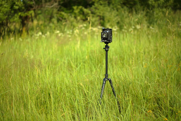 istock Vintage camera 9x12 on a sunny meadow with green grass. The old studio camera for using glass plates. 1162543702