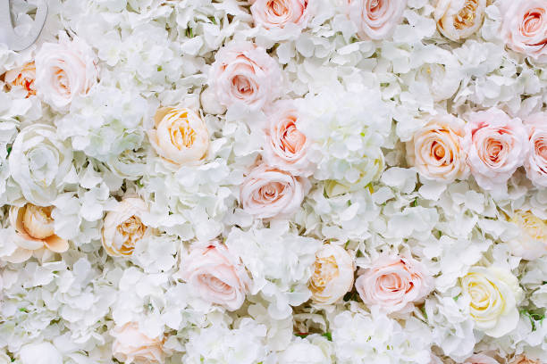 istock Flowers wall background with white and light orange roses. 1162545376
