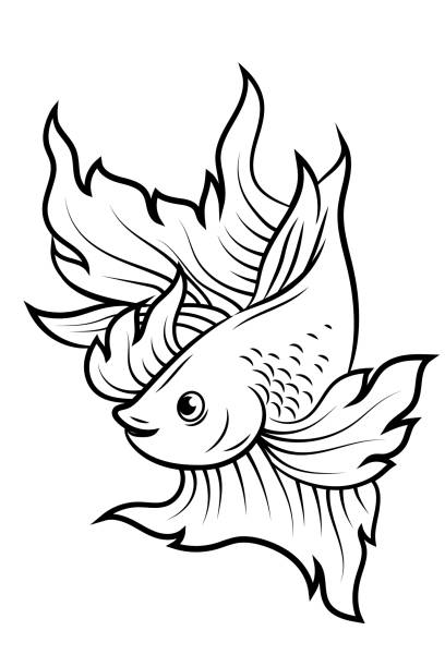 Siamese Fighter Fish Line Art Tattoo Design Stock Illustration - Download  Image Now - Siamese Fighting Fish, Vector, Illustration - iStock