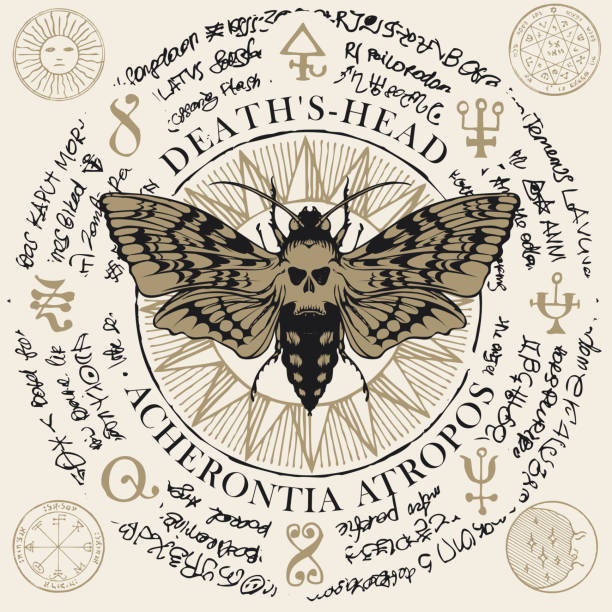 mole Acherontia atropos with old magic symbols Illustration of a butterfly Dead head with skull-shaped pattern on the thorax on an old abstract background with magical inscriptions and symbols. Vector banner in retro style illegible stock illustrations