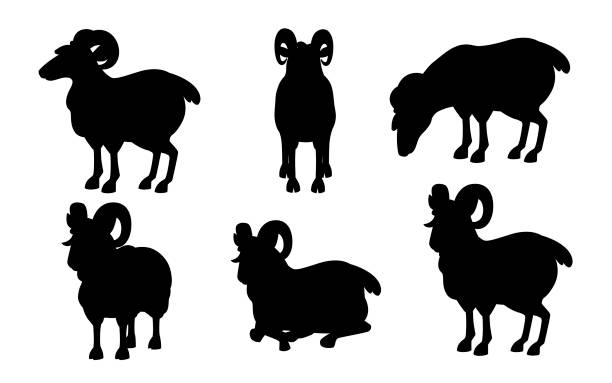 白い背景に隔離された角質山ラム羊漫画キャラクターデザインフラットベクトル動物イラストのブラックシルエットセット - ram bighorn sheep animal head animal themes点のイラスト素材／クリップアート素材／マンガ素材／アイコン素材
