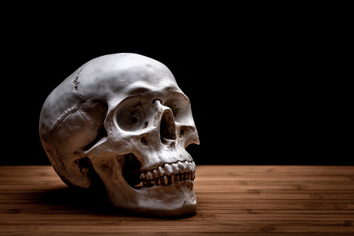 A skull on a wooden table against a black background