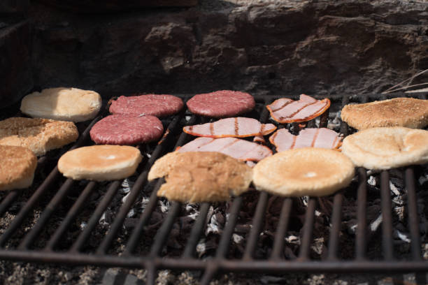 istock Barbecue in the Parc Natural de la Vall de Sorteny, Andorra. 1162547186