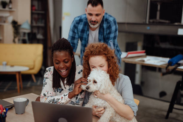 istock Business people looking at a screen during a video conference 1162547387