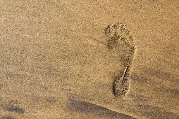 Photo of Single human barefoot footprint of right foot in brown yellow sand beach background, summer vacation or climate change concept, copy space