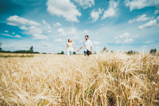 Young couple holding hands while walking through field against the background of the blue sky. Front view. Selective focus on wheat ears