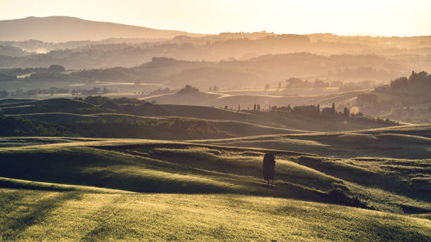 istock Sunny landscape from Val d'Orcia, Tuscany, Italy 1162548987
