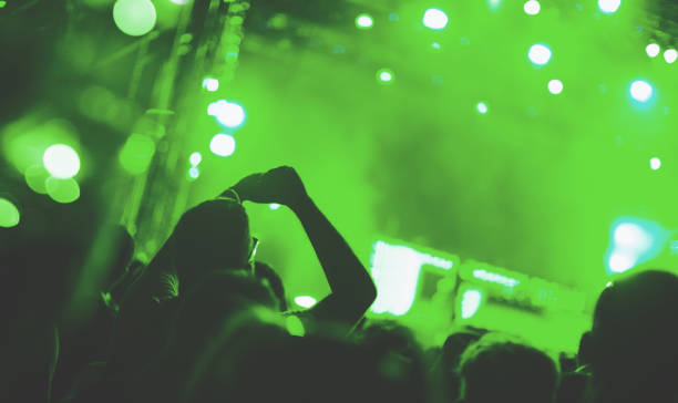 istock Enjoying at music festival. 1162550545