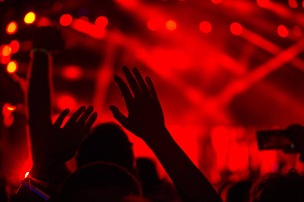 istock Enjoying at music festival. 1162551570