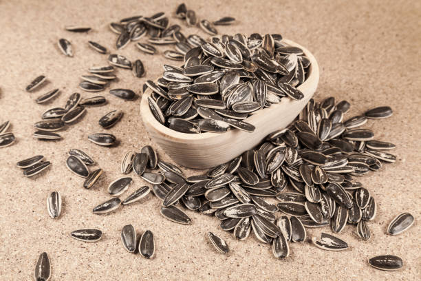 istock Sunflower seeds - Helianthus annuus 1162551993