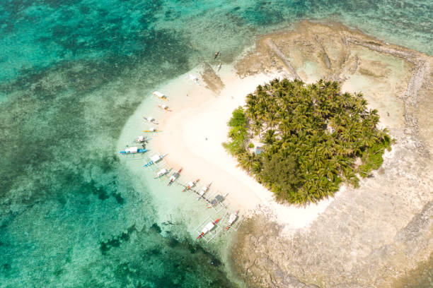 istock Guyam island, Siargao, Philippines. Small island with palm trees and a white sandy beach 1162552001