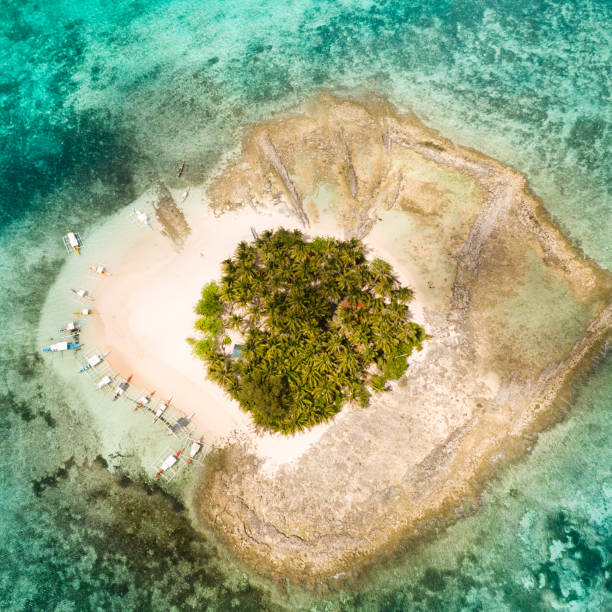 istock Guyam island, Siargao, Philippines. Small island with palm trees and a white sandy beach 1162552537