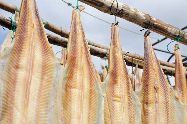 マデイラ島 - 村カマラ・デ・ロボスの干し魚(ストックフィッシュ) - stockfish ストックフォトと画像