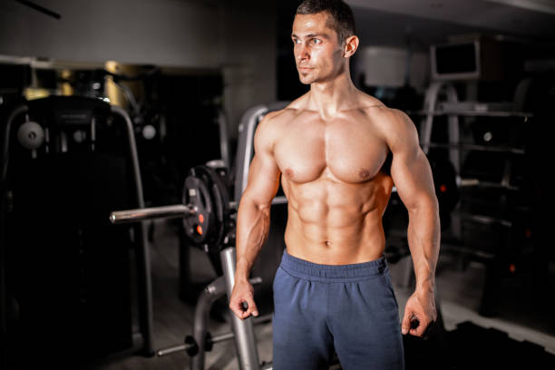 Workout at the Gym Muscular man working in the gym chest torso photos stock pictures, royalty-free photos & images