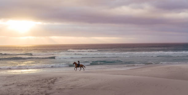 istock Horse riding on the beach at sunset 1162562352