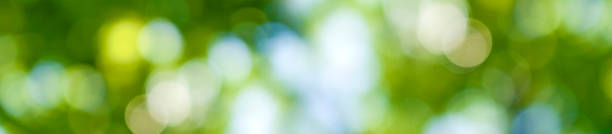 istock abstract image of natural blurred background close up 1162564701