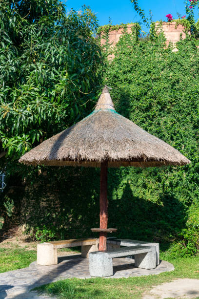 istock Thatch canopy with stone benches the background of an overgrown wall 1162570150