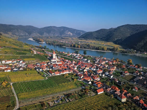 Aerial panorama of Weisenkirchen in der Wachau town and vineyards at autumn. Wachau valley, Austria Aerial of Weissenkirchen, Wachau valley, Austria. durnstein stock pictures, royalty-free photos & images