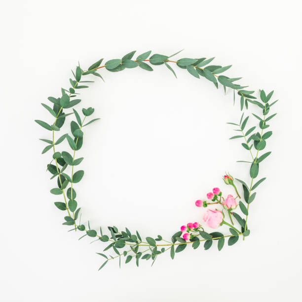 istock Floral wreath frame made of pink roses and eucalyptus branches on white background. Flat lay, top view 1162572272