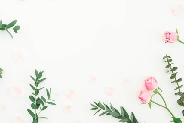istock Floral frame made of roses flowers and eucalyptus branches on white. Flat lay, top view 1162572347