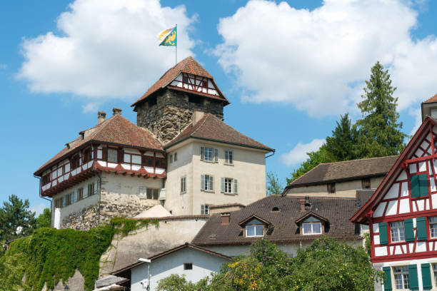 view of the historic half-timbered medieval castle in the city of frauenfeld - frauenfeld imagens e fotografias de stock