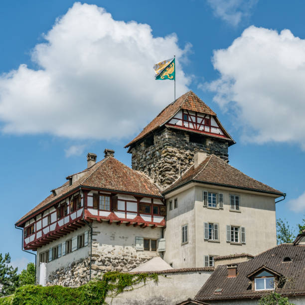 view of the historic half-timbered medieval castle in the city of frauenfeld - frauenfeld imagens e fotografias de stock