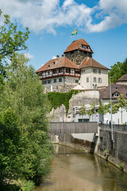 프라우엔펠트(frauenfeld) 시의 유서 깊은 반 목조 성곽과 무르그 강의 전경 - frauenfeld 뉴스 사진 이미지