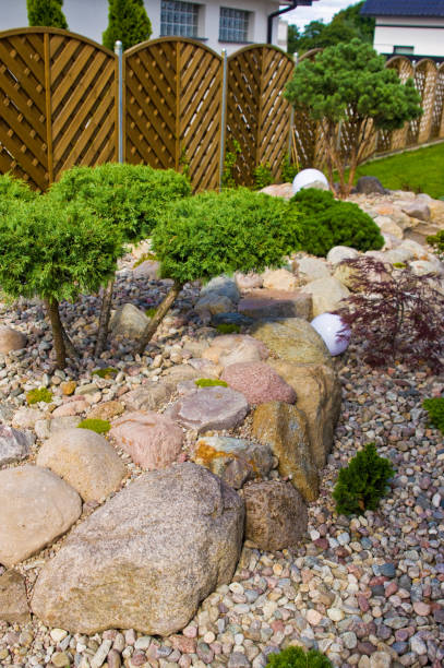 istock Making new home garden decorations, planting evergreen trees and creating decorative stone bed. Final stage. 1162577124