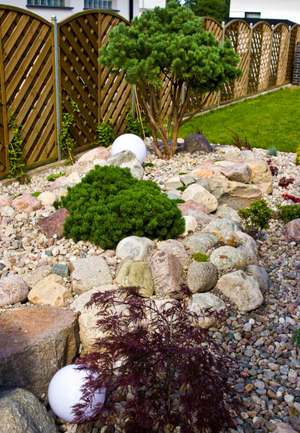 istock Making new home garden decorations, planting evergreen trees and creating decorative stone bed. Final stage. 1162577181